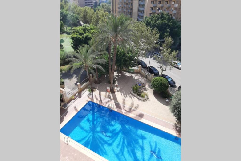 Moby Dick 3A Apartment Benidorm Ngoại thất bức ảnh